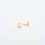 Gold Initial Earrings